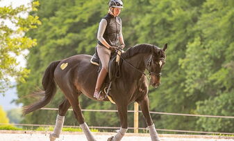 Gundula trainiert ein Pferd