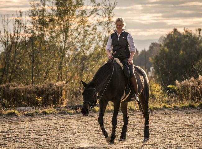 Wie kann ich durch Training, die körperliche Fitness meines Pferdes beinflussen