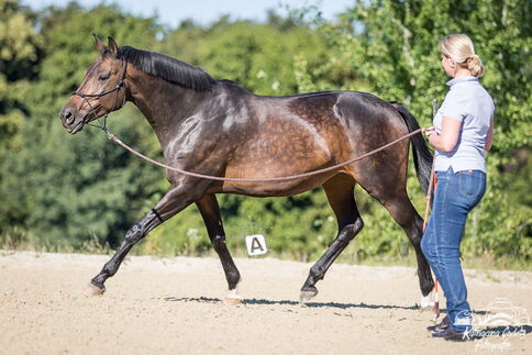Faszien können aktiv durch Training beeinflusst werden ... / Foto: Katharina Gerletz