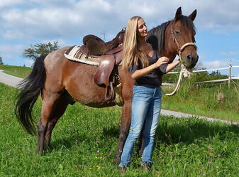 Gebisslos reiten Gebisslos reiten