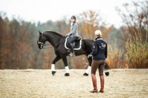 Ein guter Trainer kann das Exterieur eines Pferdes ,lesen' – und mögliche Probleme frühzeitig erkennen. / Foto: Sabrina Mallik