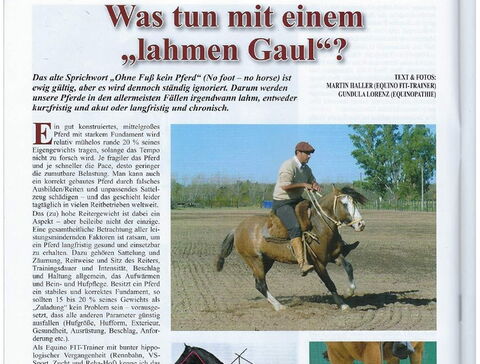 Was tun wenn der Gaul lahmt?