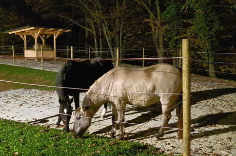 Neue dicke Freund